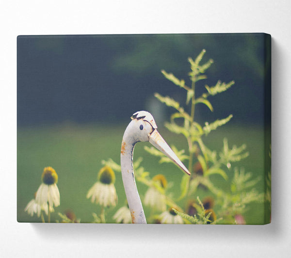  A Canvas Print of White Crane In Bloom Canvas Art