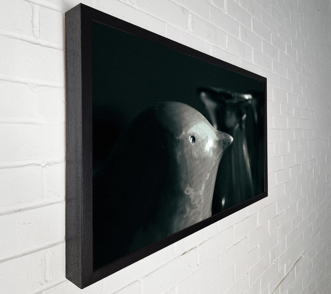  A Canvas Print of Silver Bird In Shadow Canvas Wall Art