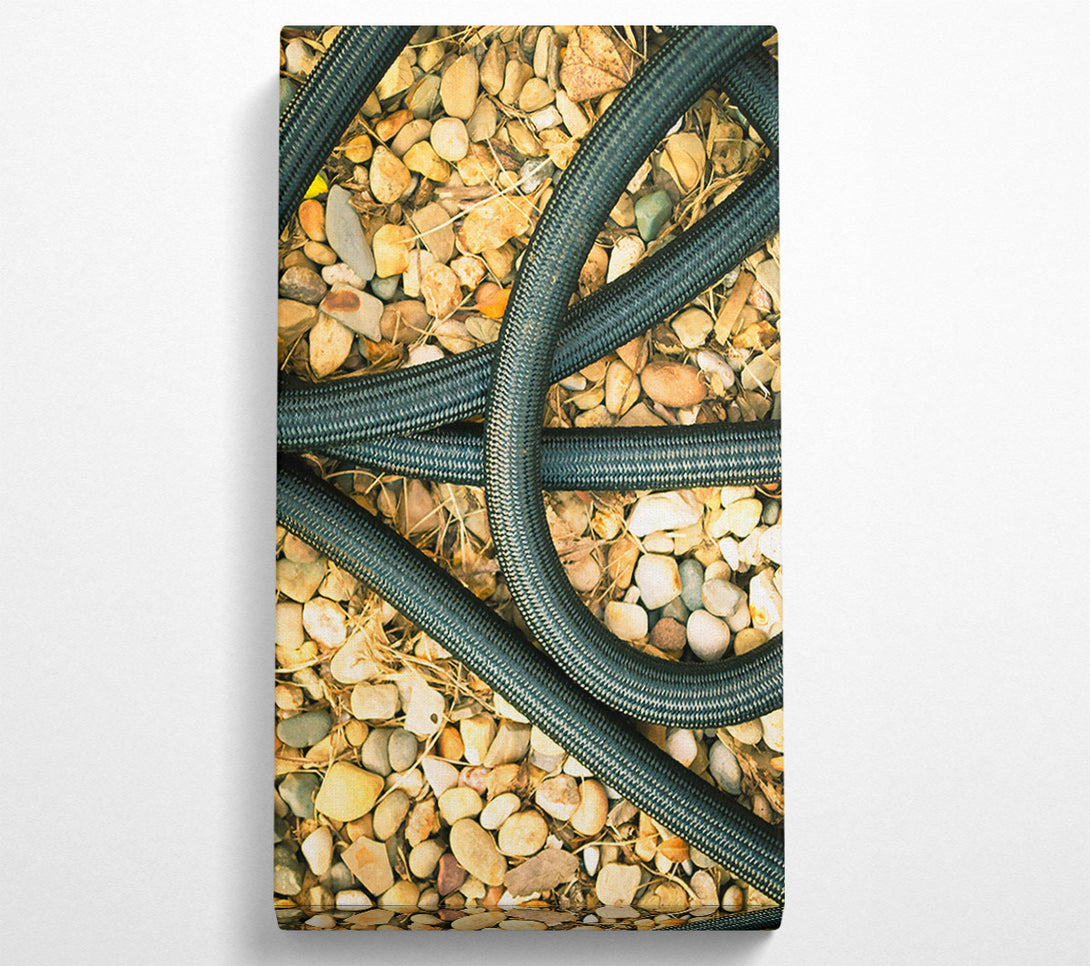  A Canvas Print of Black Coiled Lines On Stone Canvas Print