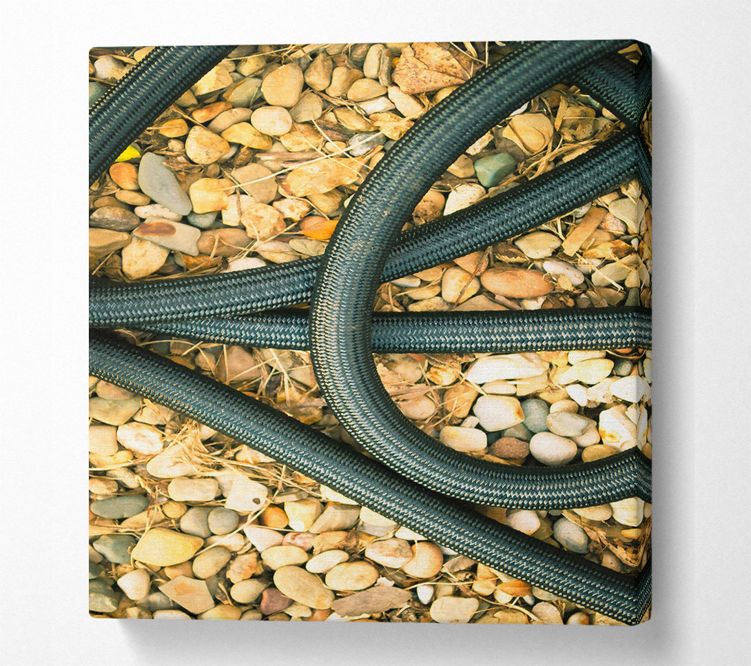  A Canvas Print of Black Coiled Lines On Stone Canvas Print
