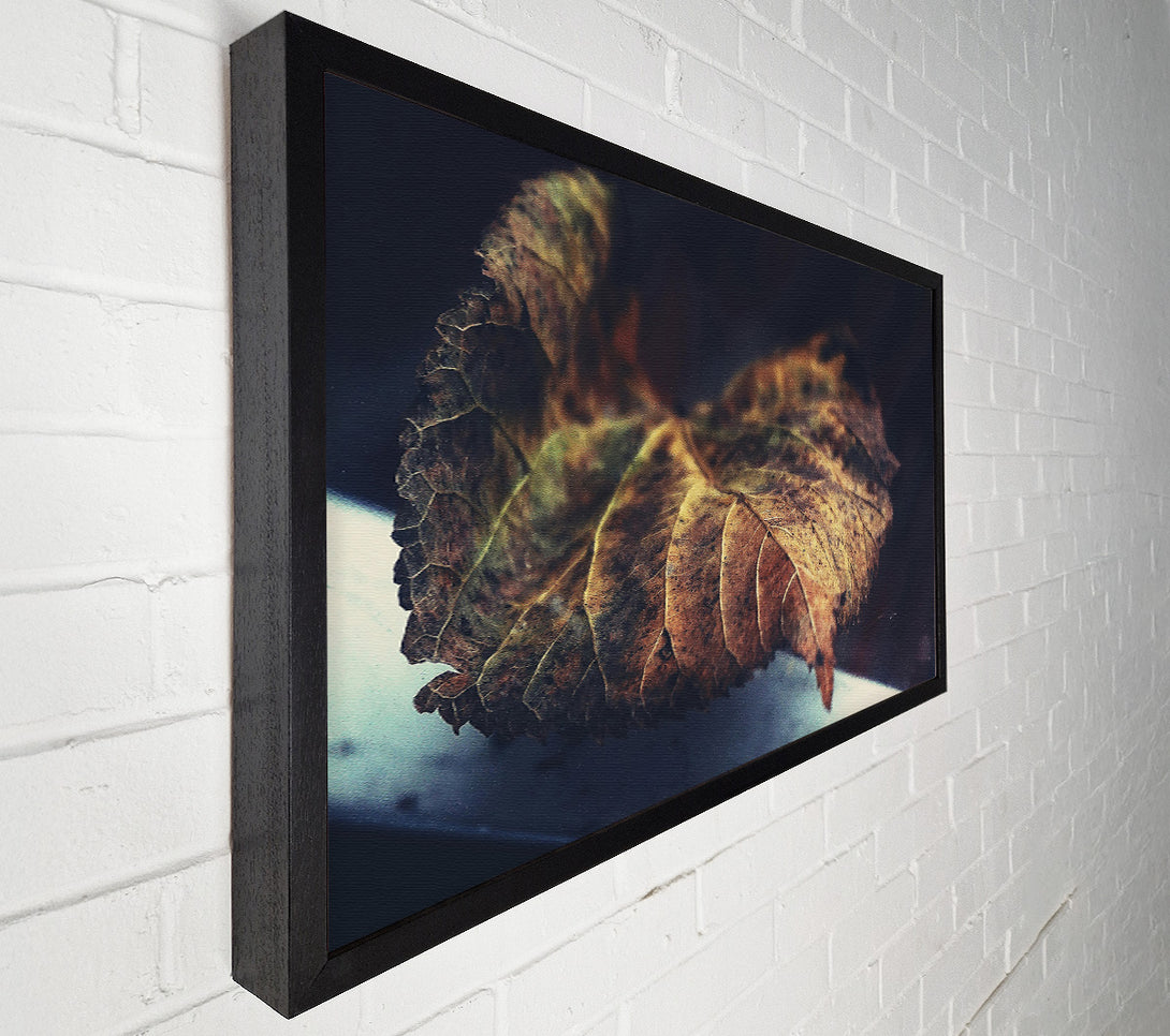  A Canvas Print of Brown Leaf Reflection Canvas Wall Art