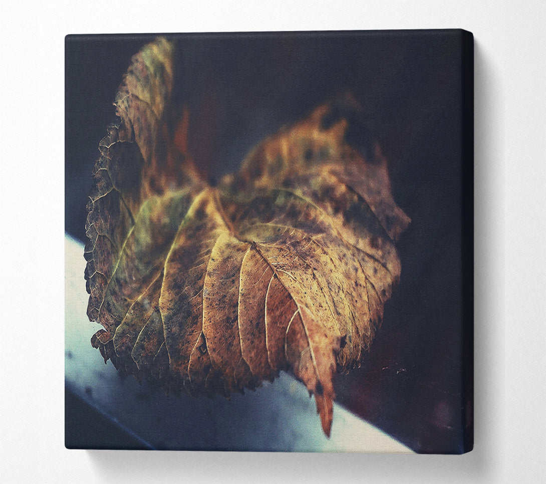  A Canvas Print of Brown Leaf Reflection Canvas Wall Art