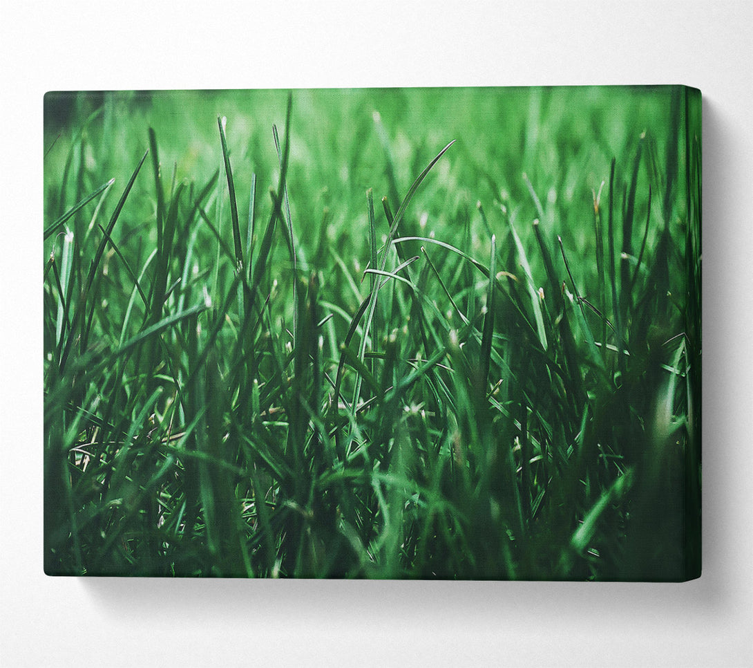  A Canvas Print of Emerald Green Blades Canvas Wall Art