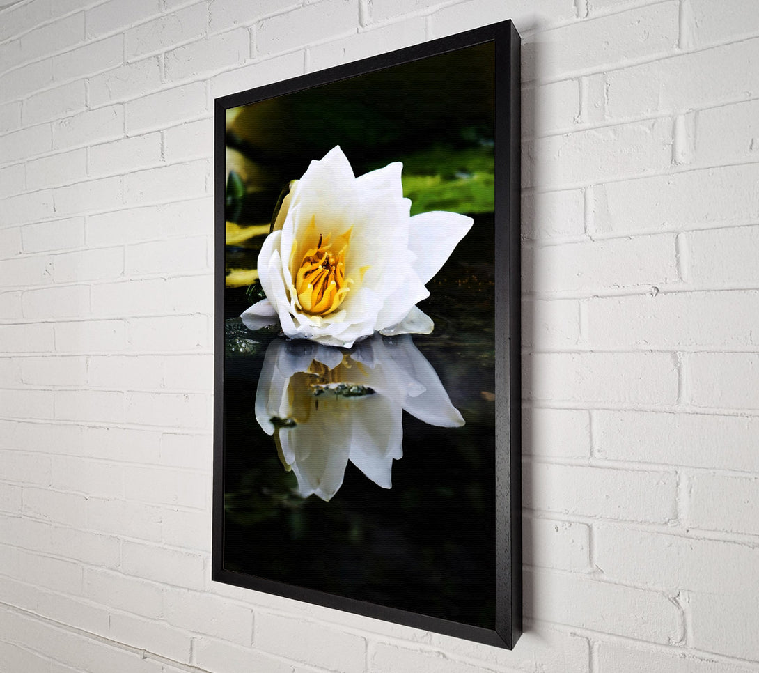  A Canvas Print of White Water Lily Reflection Canvas Wall Art