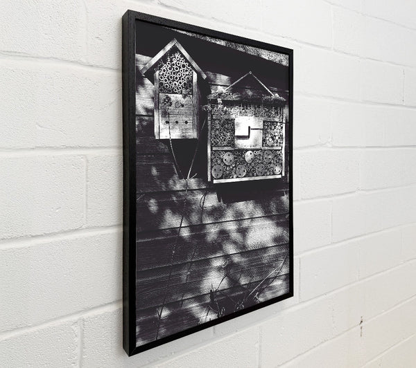 Black And White Bug Homes