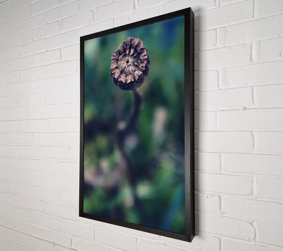  A Canvas Print of Teal Dried Bloom Canvas Art