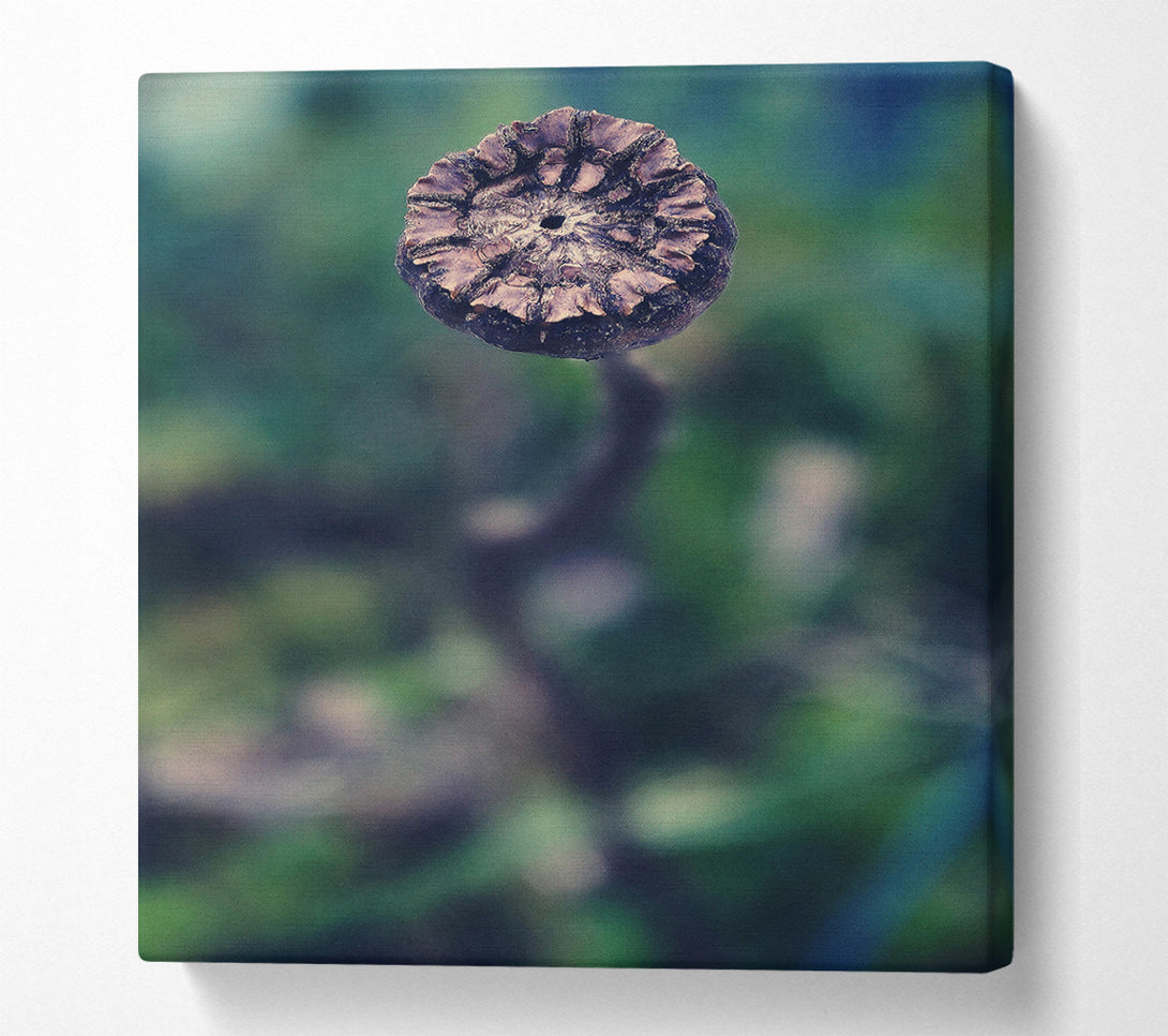  A Canvas Print of Teal Dried Bloom Canvas Art