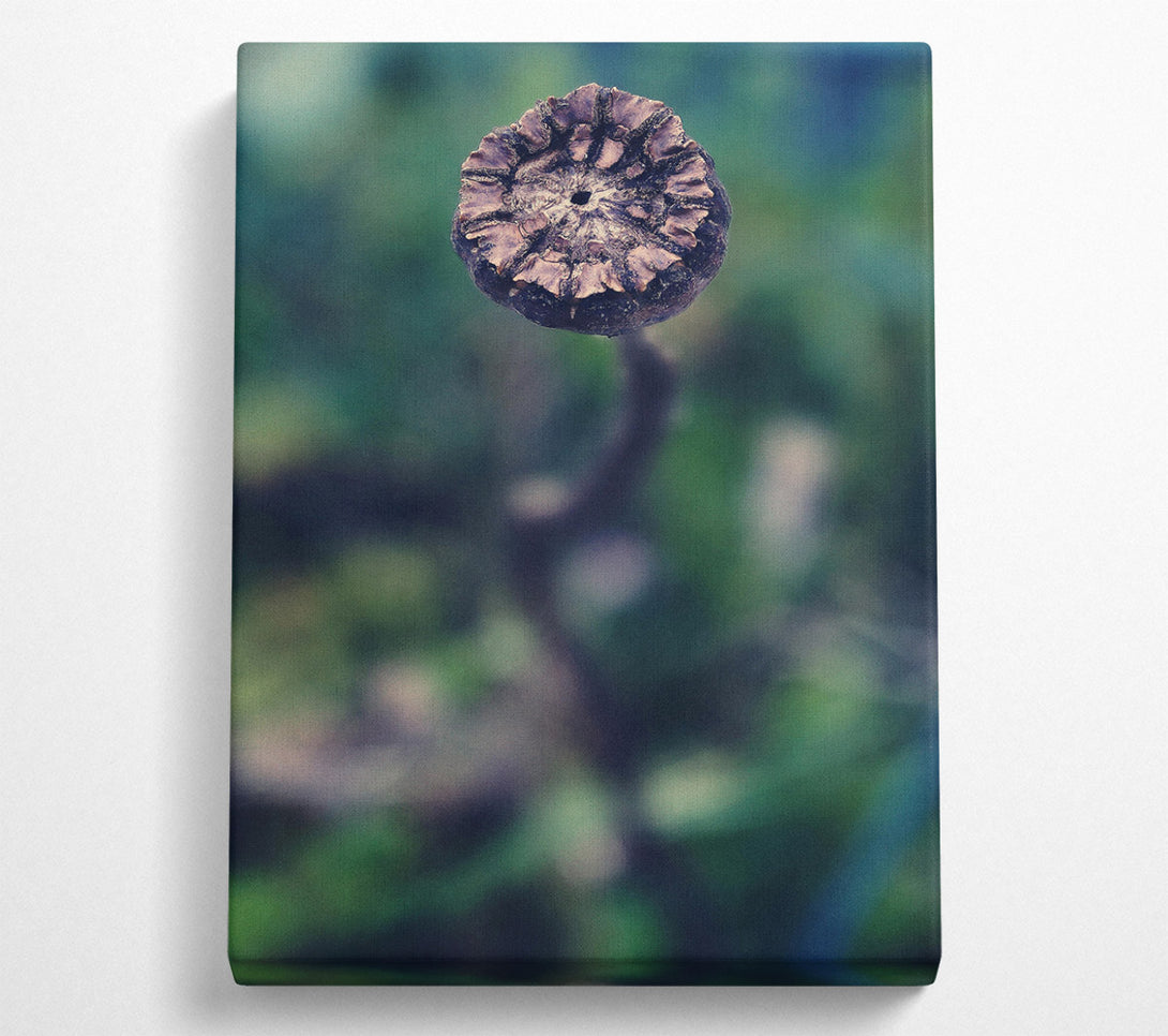  A Canvas Print of Teal Dried Bloom Canvas Art