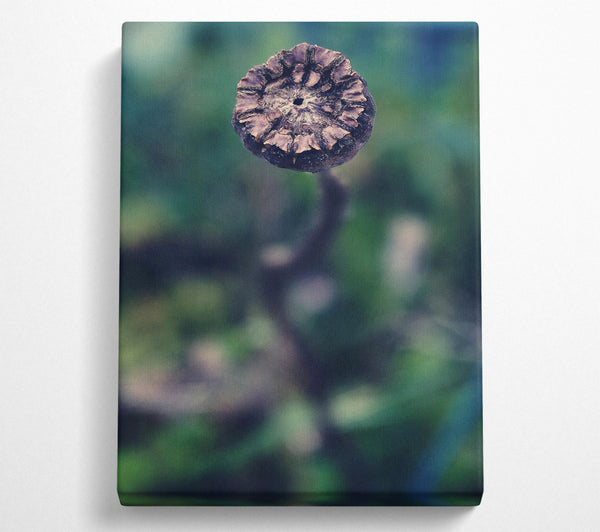  A Canvas Print of Teal Dried Bloom Canvas Art