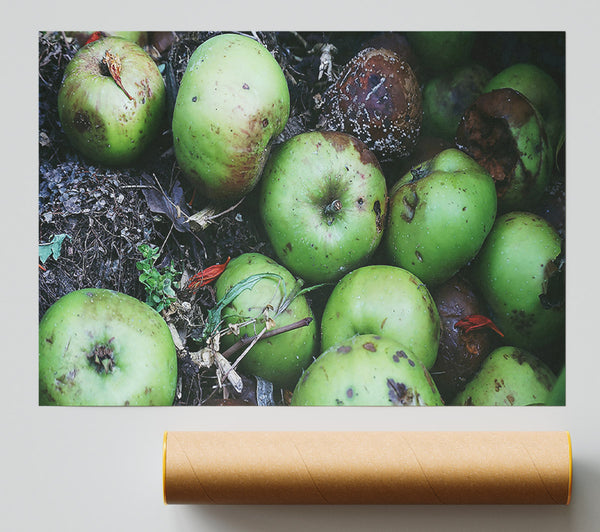 Green Apple Decay