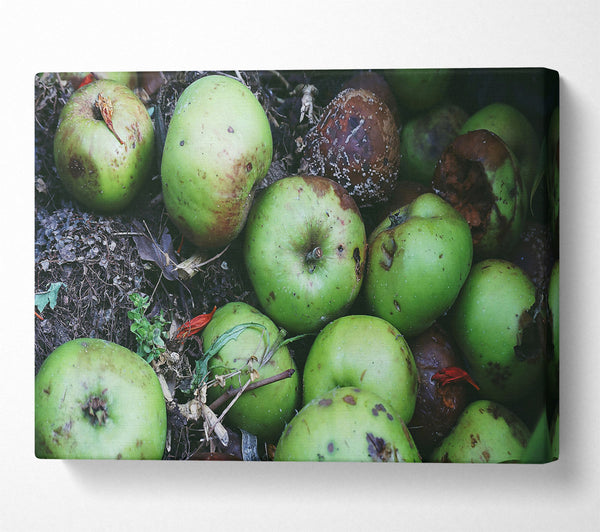  A Canvas Print of Green Apple Decay Canvas Art