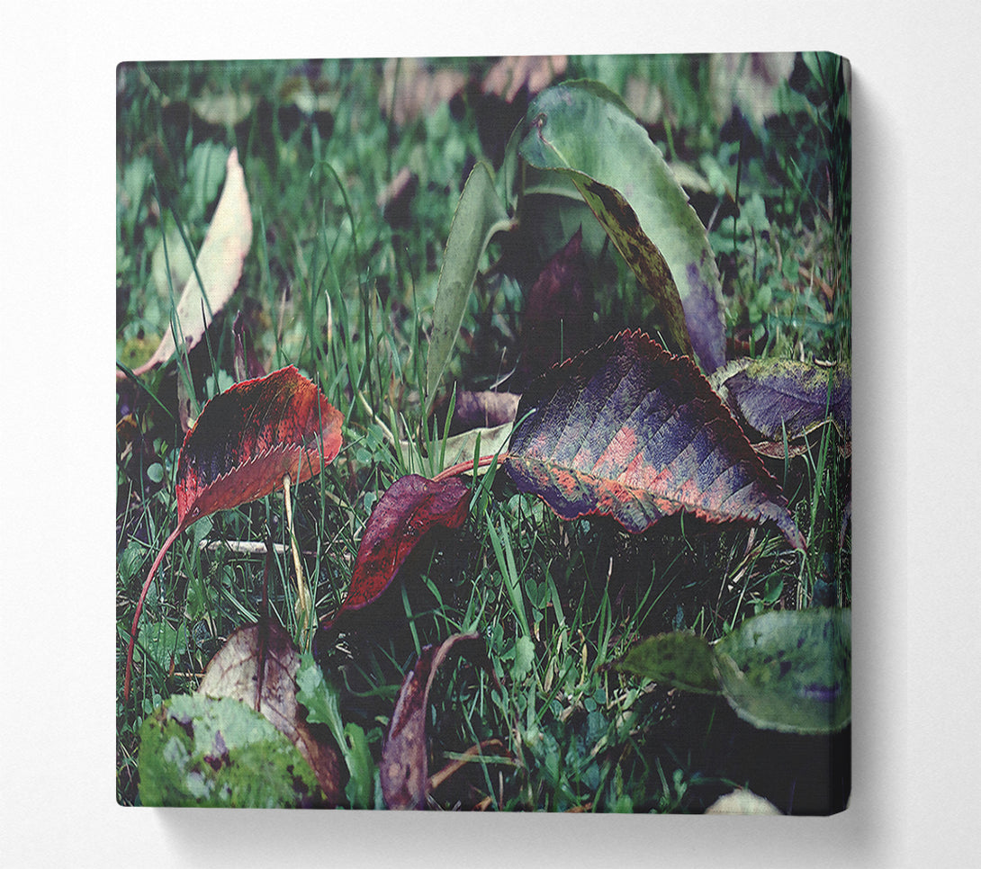  A Canvas Print of Crimson Fallen Leaves Canvas Wall Art
