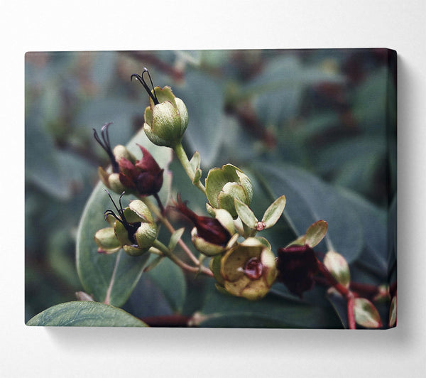  A Canvas Print of Green Budded Branch Canvas Wall Art