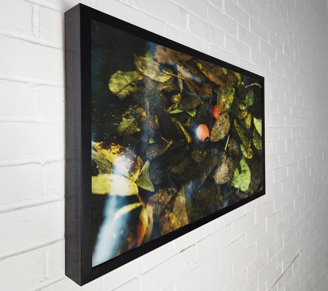  A Canvas Print of Orange Leaf Reflections Canvas Print