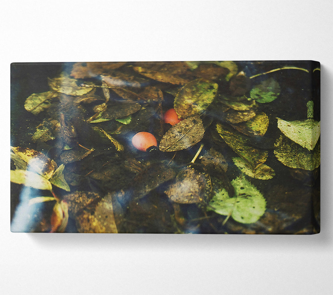  A Canvas Print of Orange Leaf Reflections Canvas Print