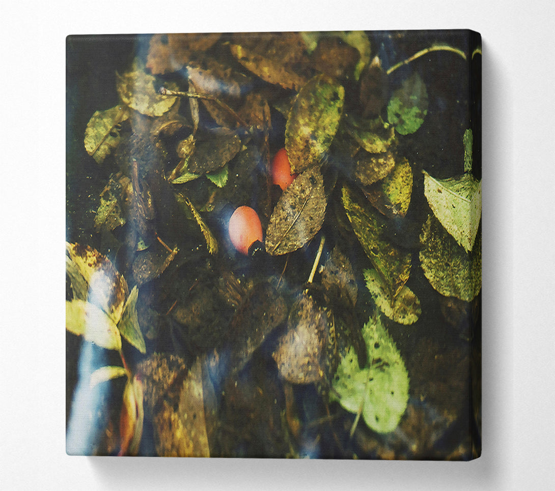  A Canvas Print of Orange Leaf Reflections Canvas Print
