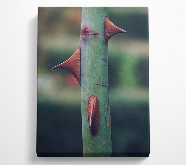  A Canvas Print of Green Thorns Of Defense Canvas Wall Art