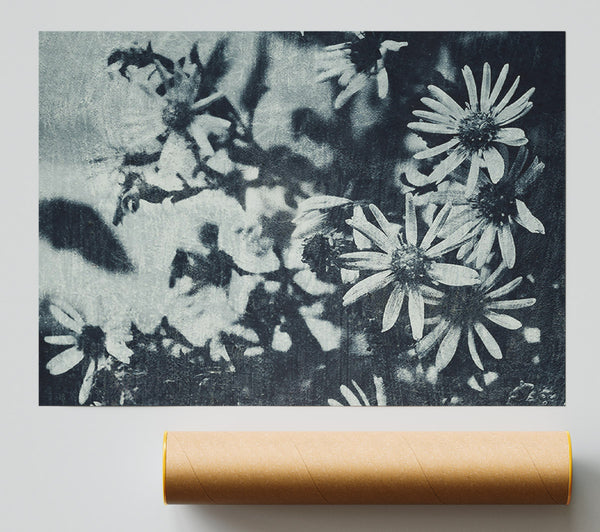 Indigo Bloom Shadows