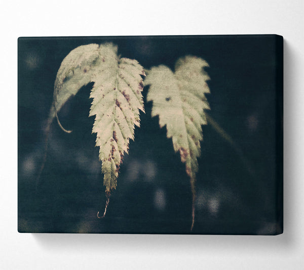  A Canvas Print of Olive Green Leaves Canvas Wall Art