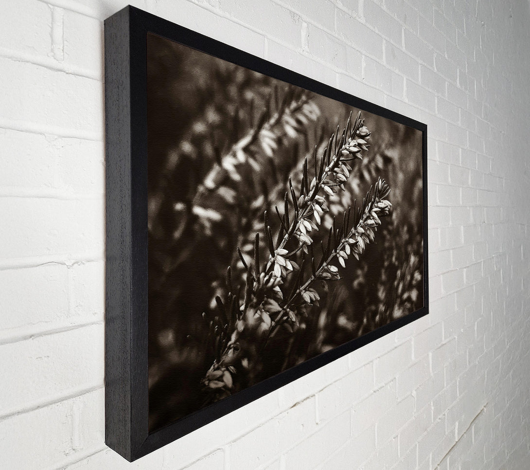  A Canvas Print of Sepia Branch Blooms Canvas Art