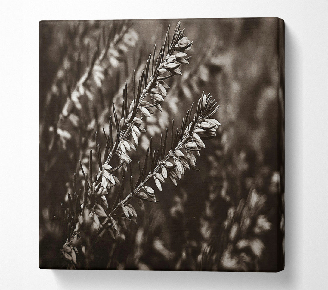  A Canvas Print of Sepia Branch Blooms Canvas Art