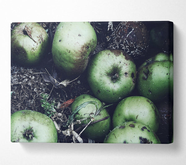  A Canvas Print of Green Apples And Decay Canvas Wall Art