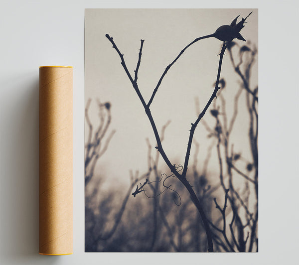 Grey Branch Silhouette
