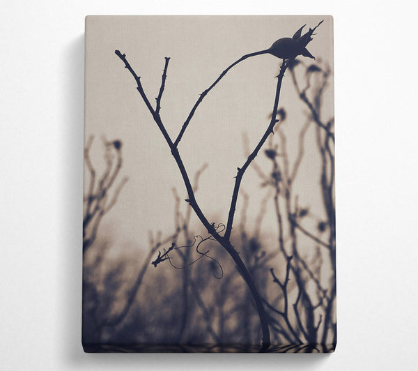  A Canvas Print of Grey Branch Silhouette Canvas Art