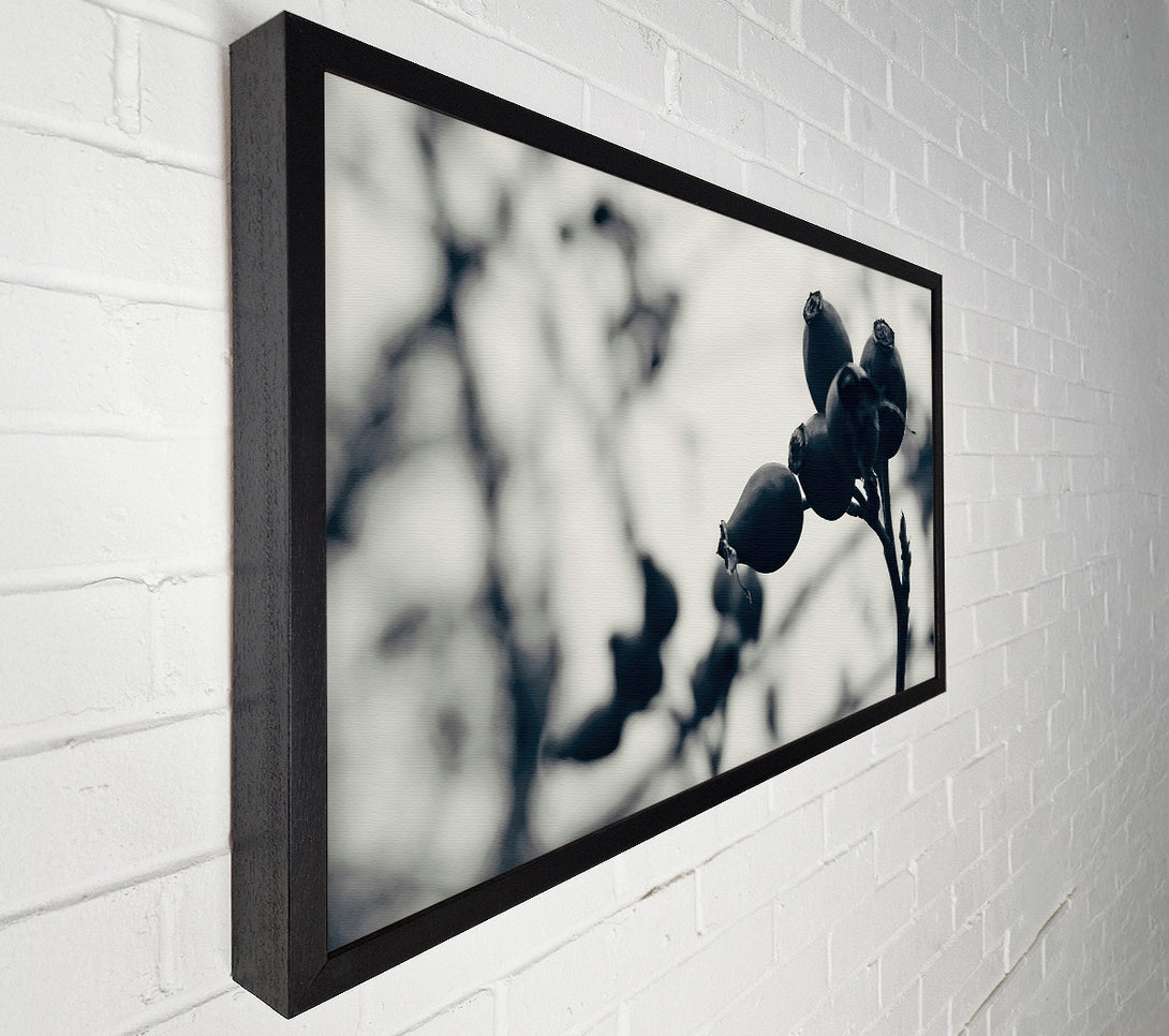  A Canvas Print of Black Berries On Branch Canvas Wall Art