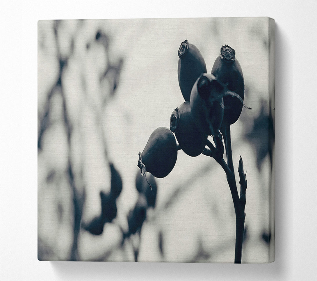  A Canvas Print of Black Berries On Branch Canvas Wall Art