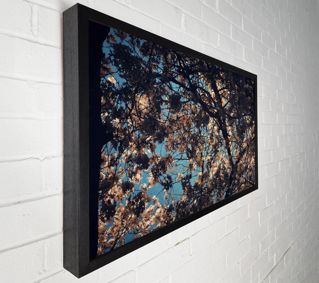  A Canvas Print of Pale Pink Canopy Canvas Wall Art