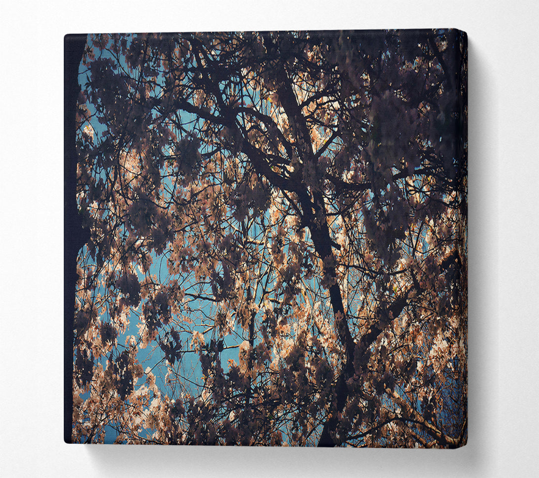  A Canvas Print of Pale Pink Canopy Canvas Wall Art