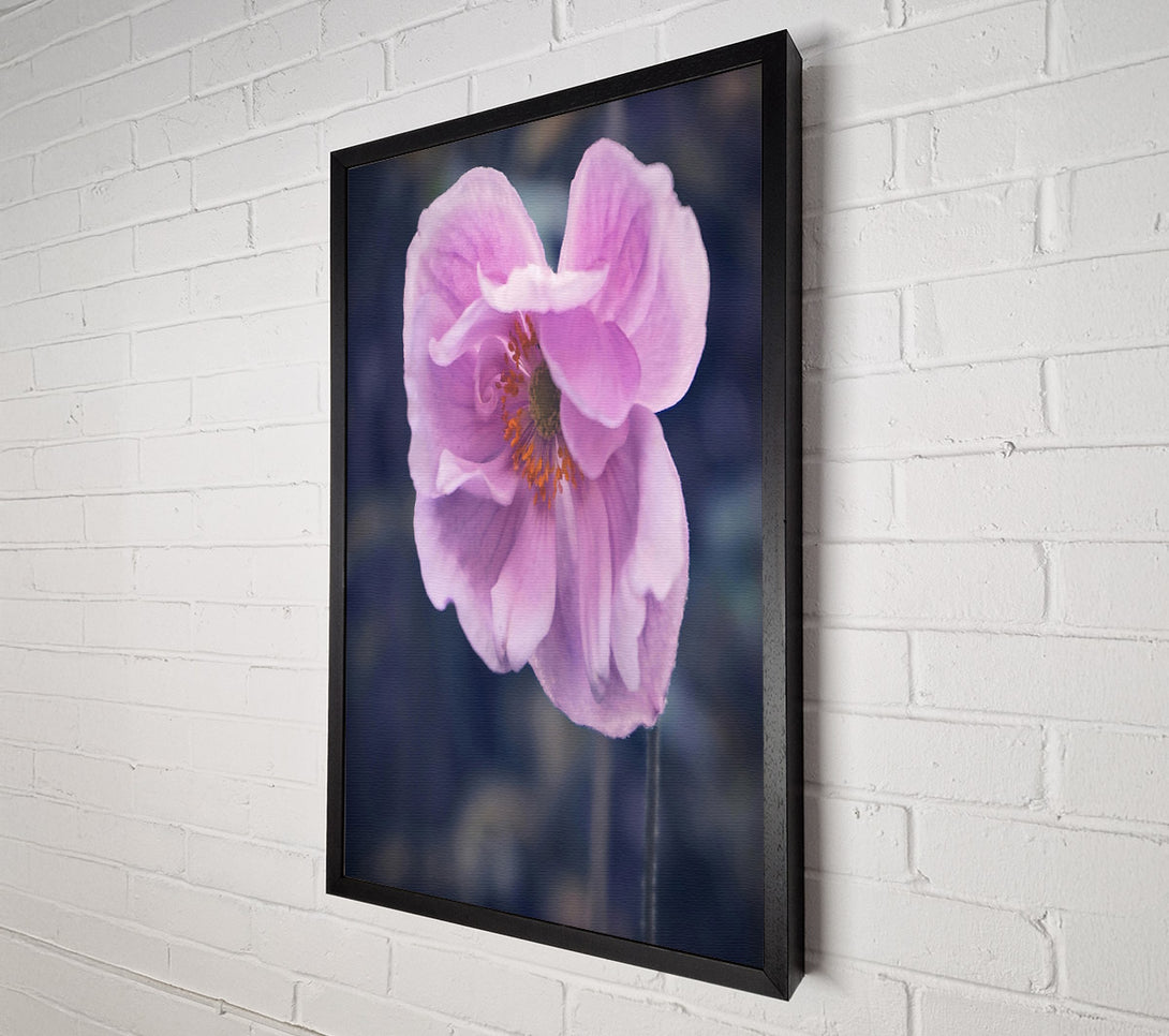  A Canvas Print of The Pale Pink Bloom Canvas Wall Art