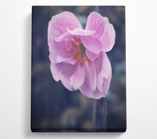 A Canvas Print of The Pale Pink Bloom Canvas Wall Art