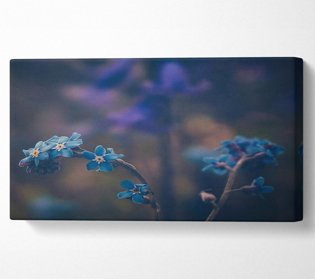  A Canvas Print of Blue Blooms In Bloom Canvas Print