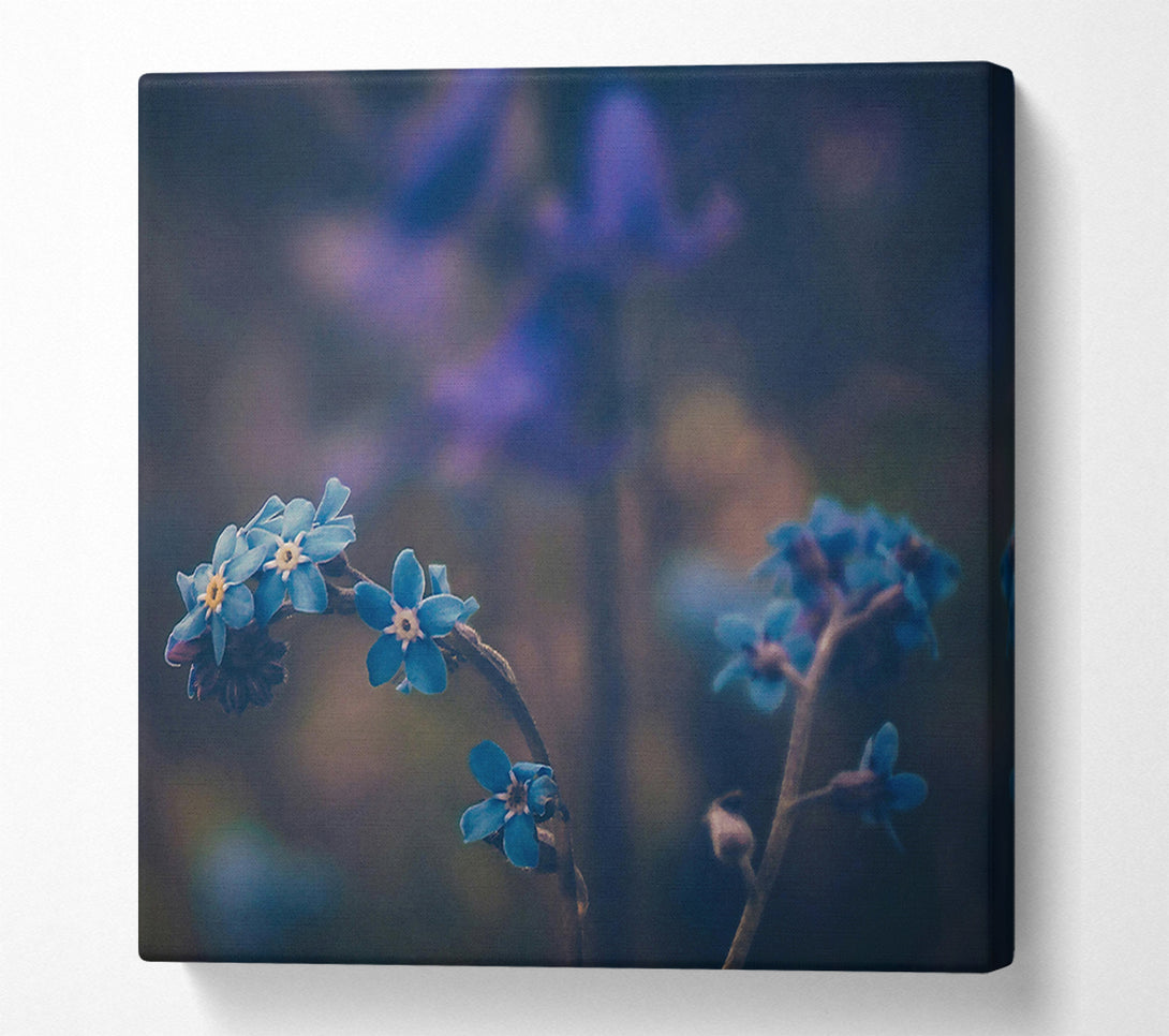 A Canvas Print of Blue Blooms In Bloom Canvas Print