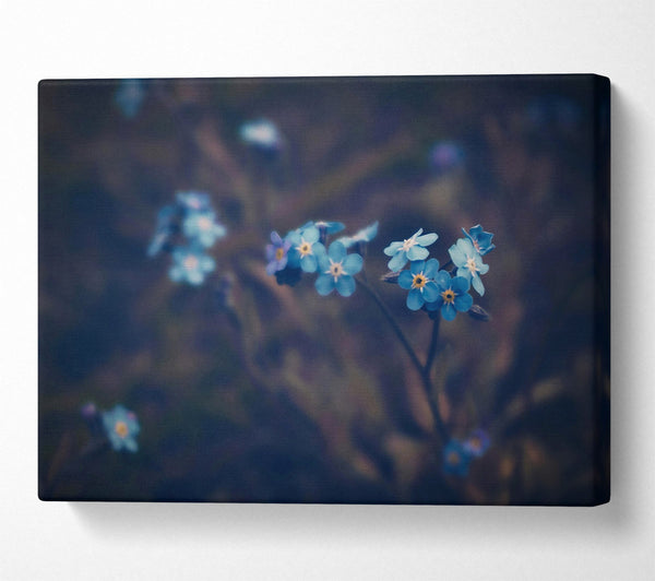  A Canvas Print of Blue Flowers In Bloom Canvas Art