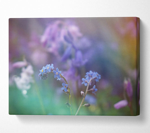  A Canvas Print of Blue Dreamy Blooms Canvas Print