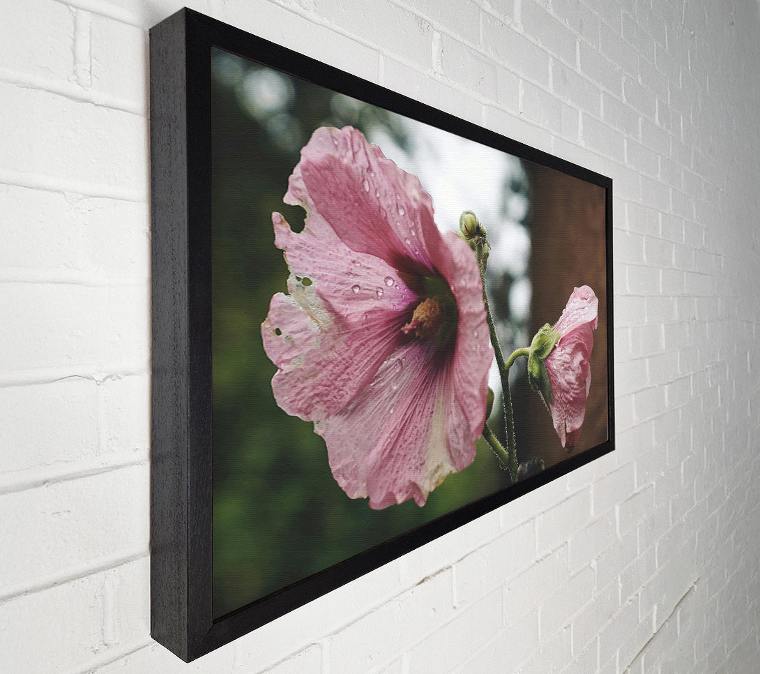  A Canvas Print of Pink Flower Droplets Canvas Wall Art