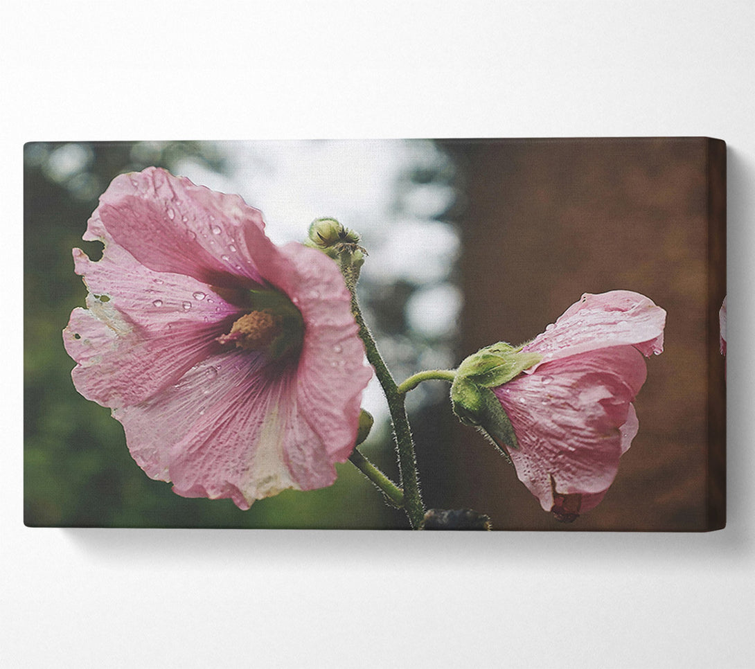  A Canvas Print of Pink Flower Droplets Canvas Wall Art