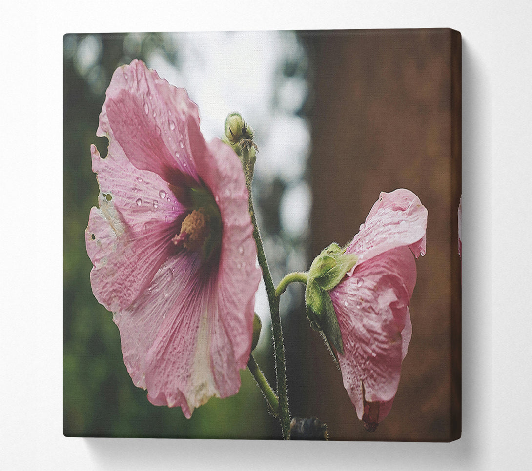  A Canvas Print of Pink Flower Droplets Canvas Wall Art