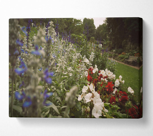  A Canvas Print of Blue Garden Bloom Canvas Art