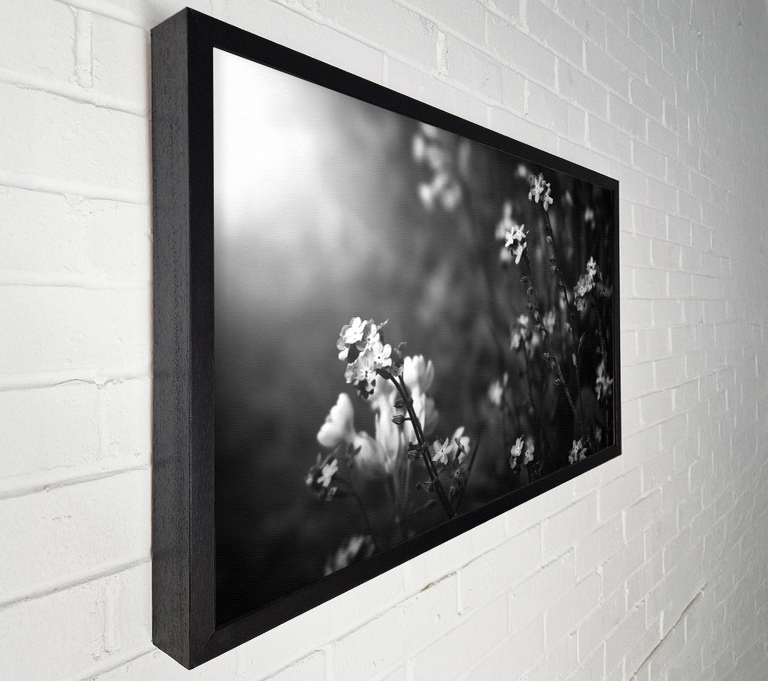  A Canvas Print of White Blooms In Grey Canvas Art