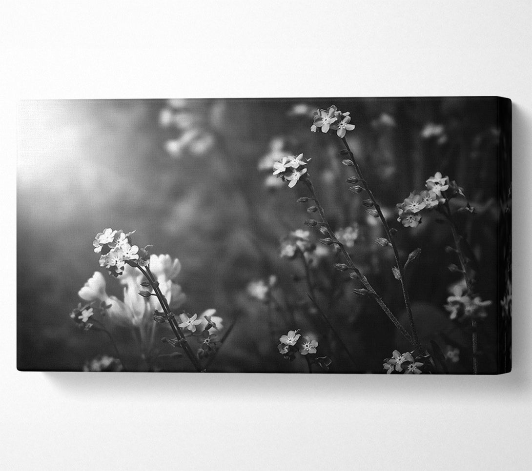  A Canvas Print of White Blooms In Grey Canvas Art