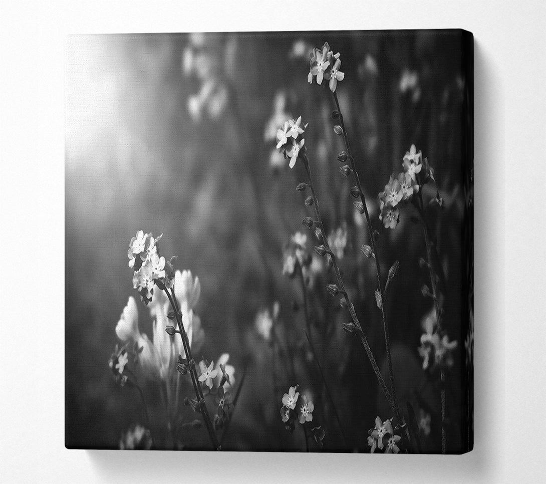  A Canvas Print of White Blooms In Grey Canvas Art