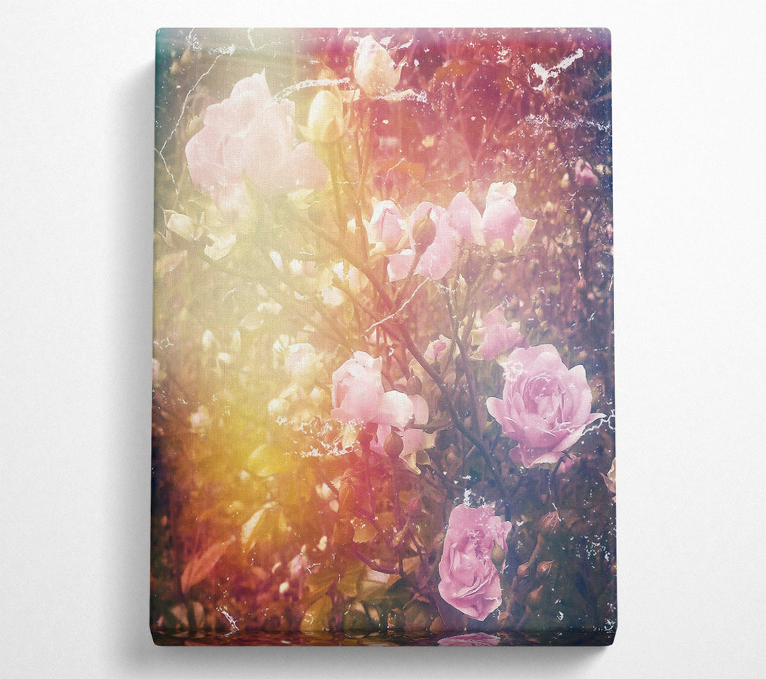  A Canvas Print of Soft Pink Blooms Canvas Wall Art
