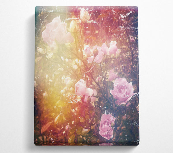  A Canvas Print of Soft Pink Blooms Canvas Wall Art