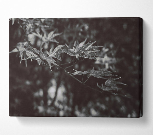  A Canvas Print of Dark Green Leaves Canvas Wall Art