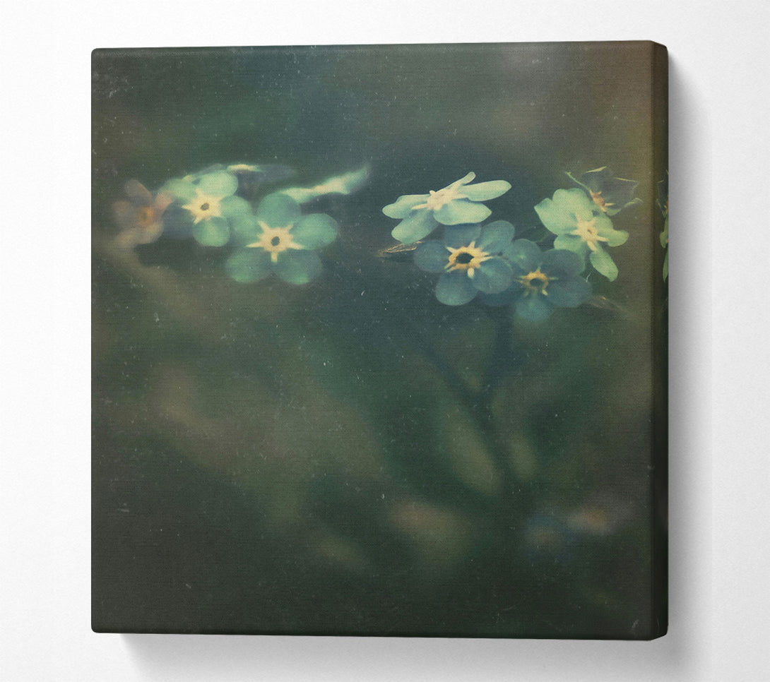  A Canvas Print of Green Forget-Me-Nots Canvas Wall Art