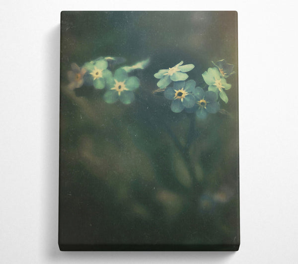  A Canvas Print of Green Forget-Me-Nots Canvas Wall Art